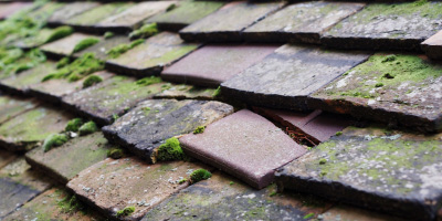 Soundwell roof repair costs